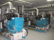 picture example of a stationary Schnell CHP